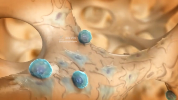 医疗生物化学概论细胞结构视频